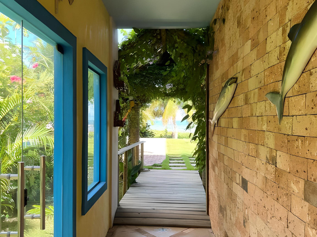 Praia São Bento-Maragogi必去景点