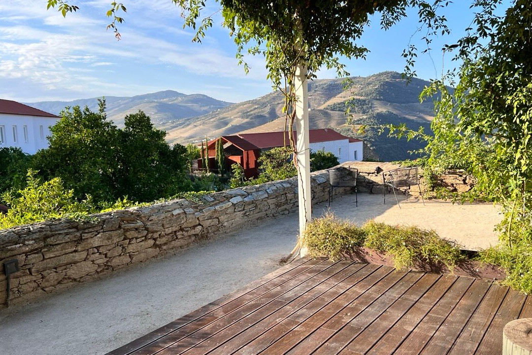 Ventozelo Hotel & Quinta主图