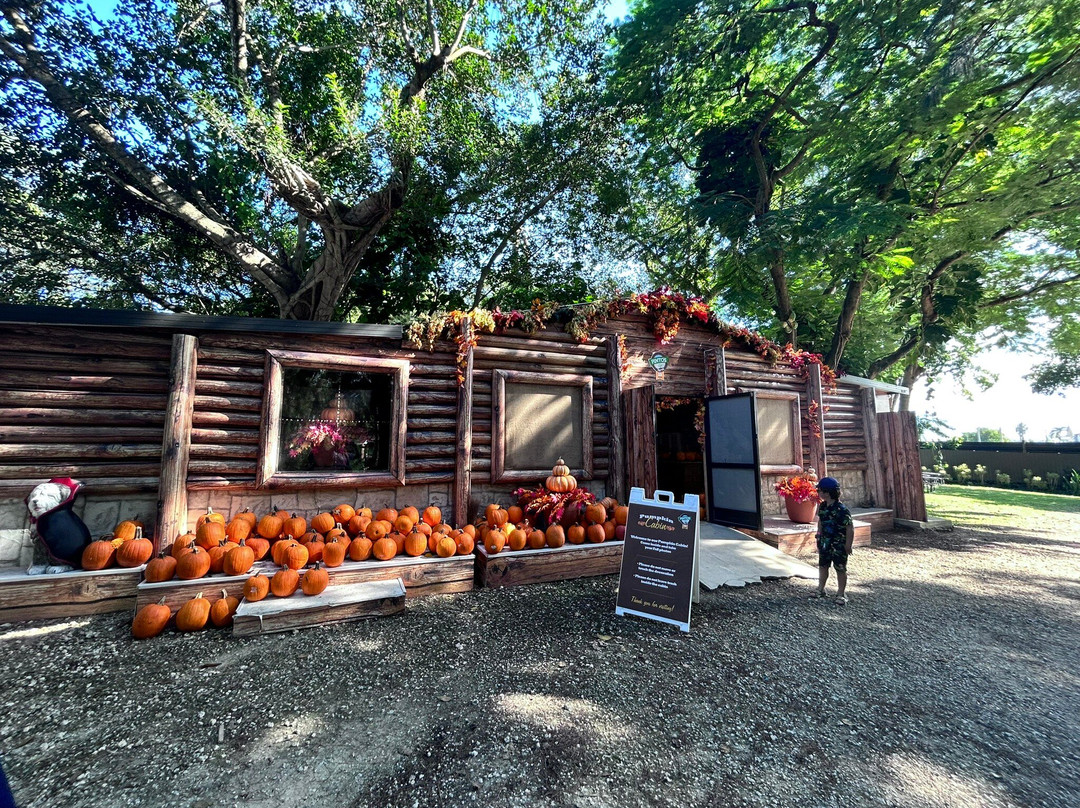 Pinto's Farm-迈阿密必去景点