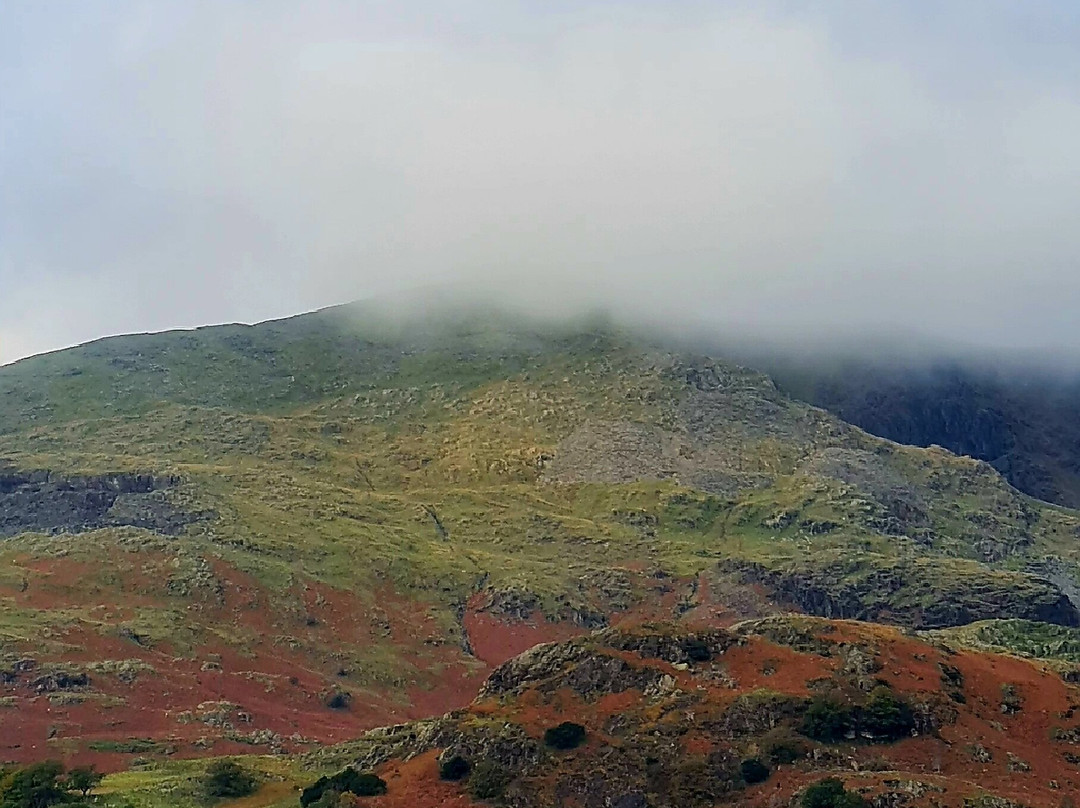 Bluebird Lodge and Waterhead Apartment主图