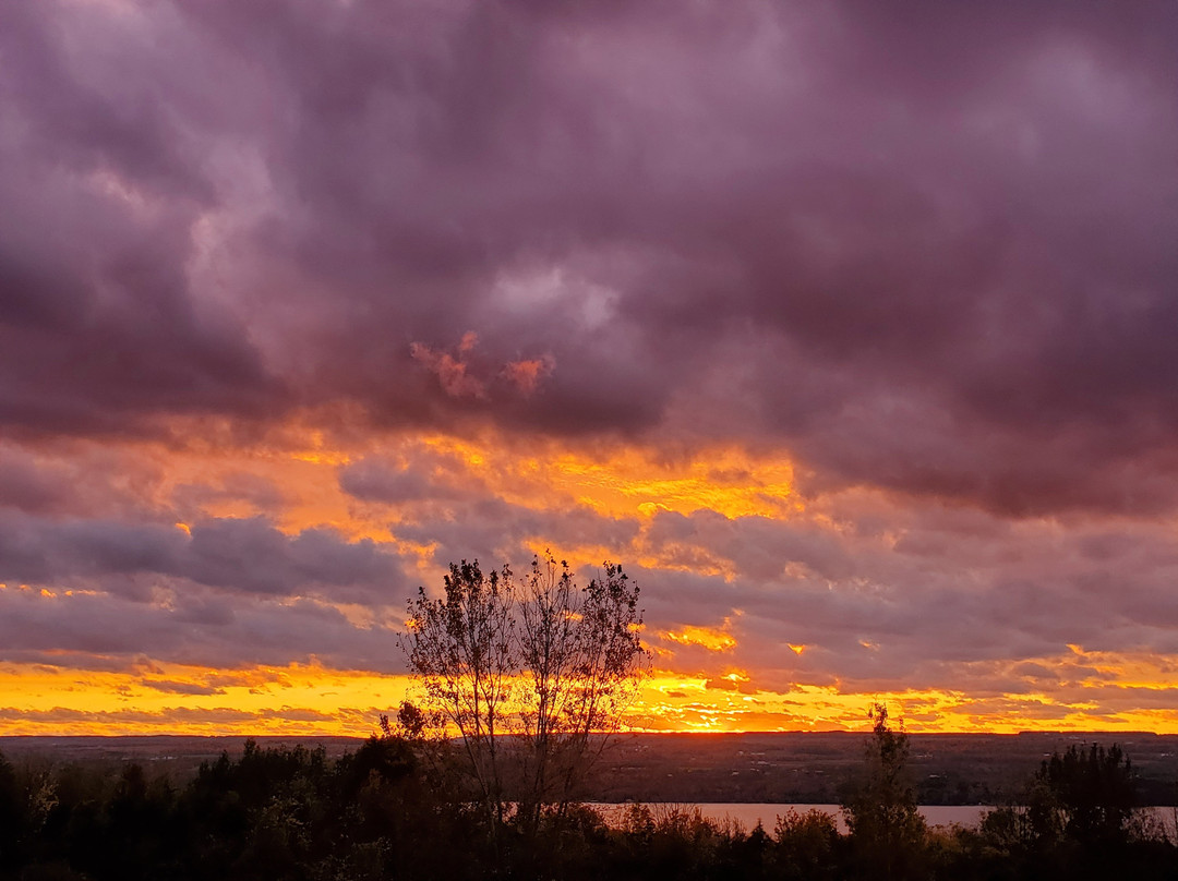 The Fox and the Grapes Bed and Breakfast主图