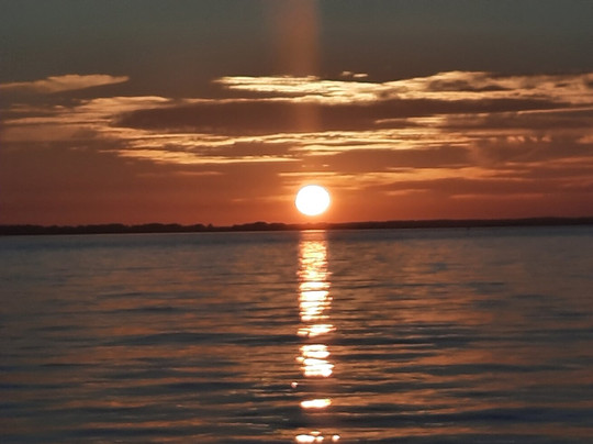 Assateague Explorer Wildlife Cruises-钦科蒂格岛必去景点