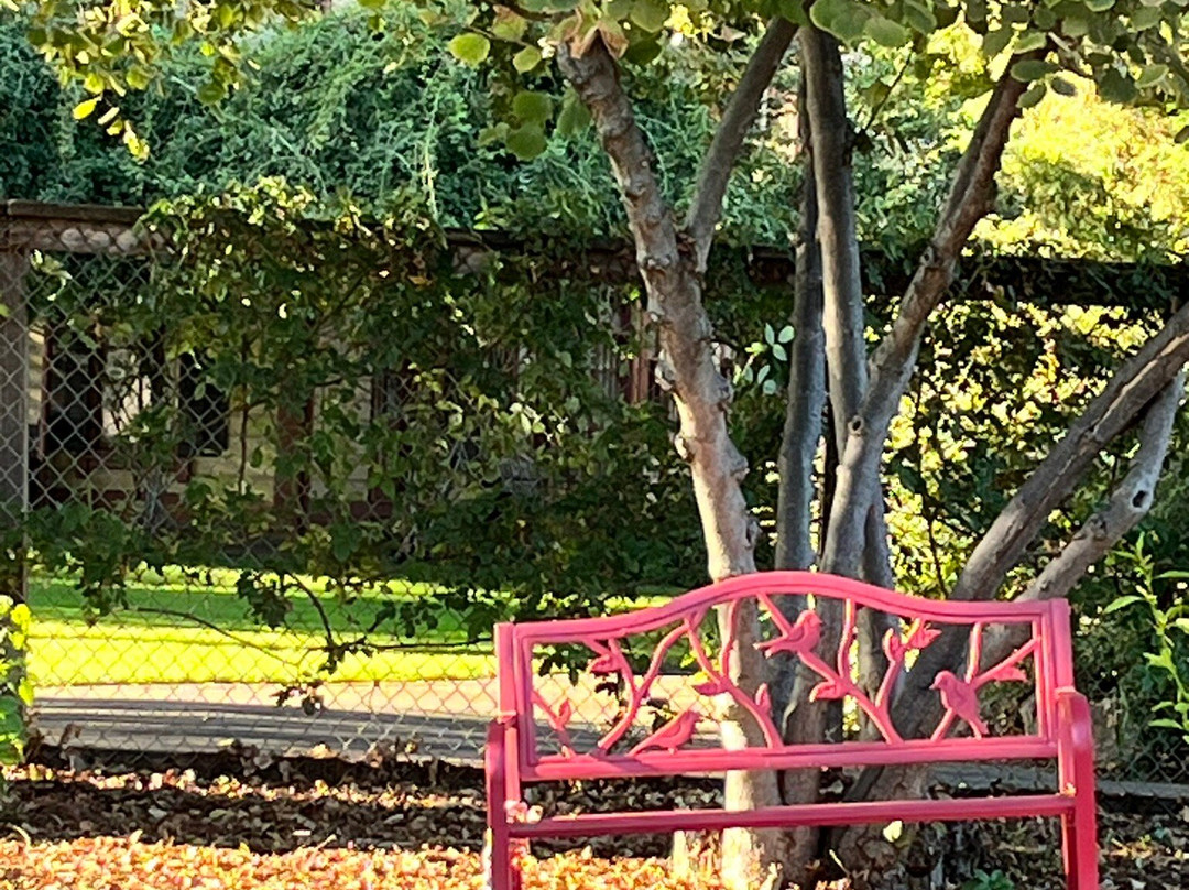 Shinn Historical Park and Arboretum-费利蒙必去景点