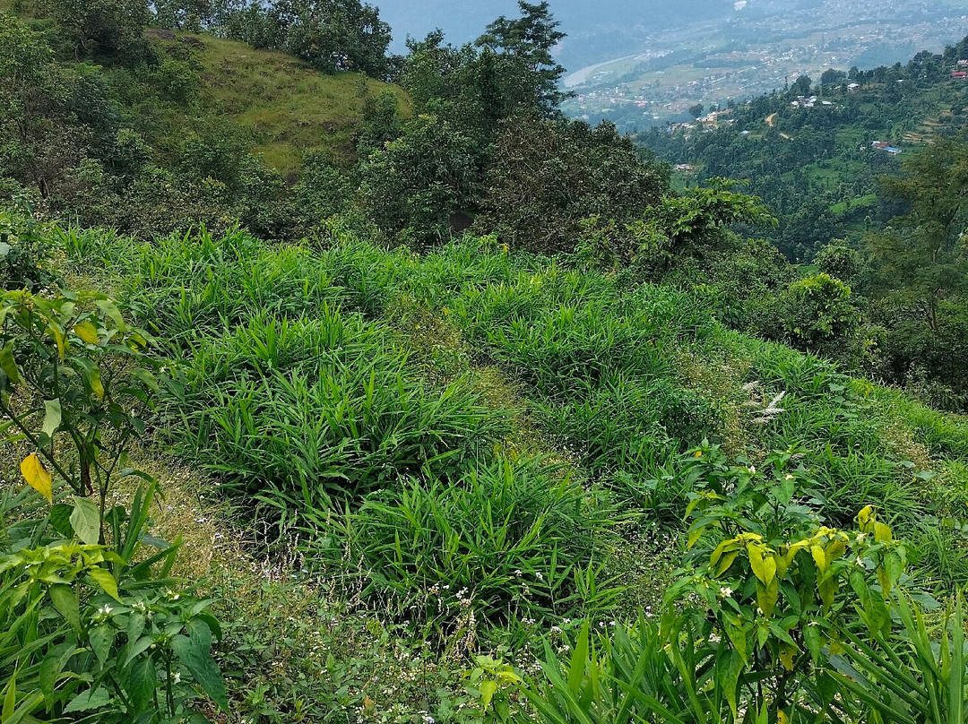 Nuwakot Durbar-Nuwakot必去景点