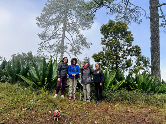 Coyote Aventuras-瓦哈卡必去景点