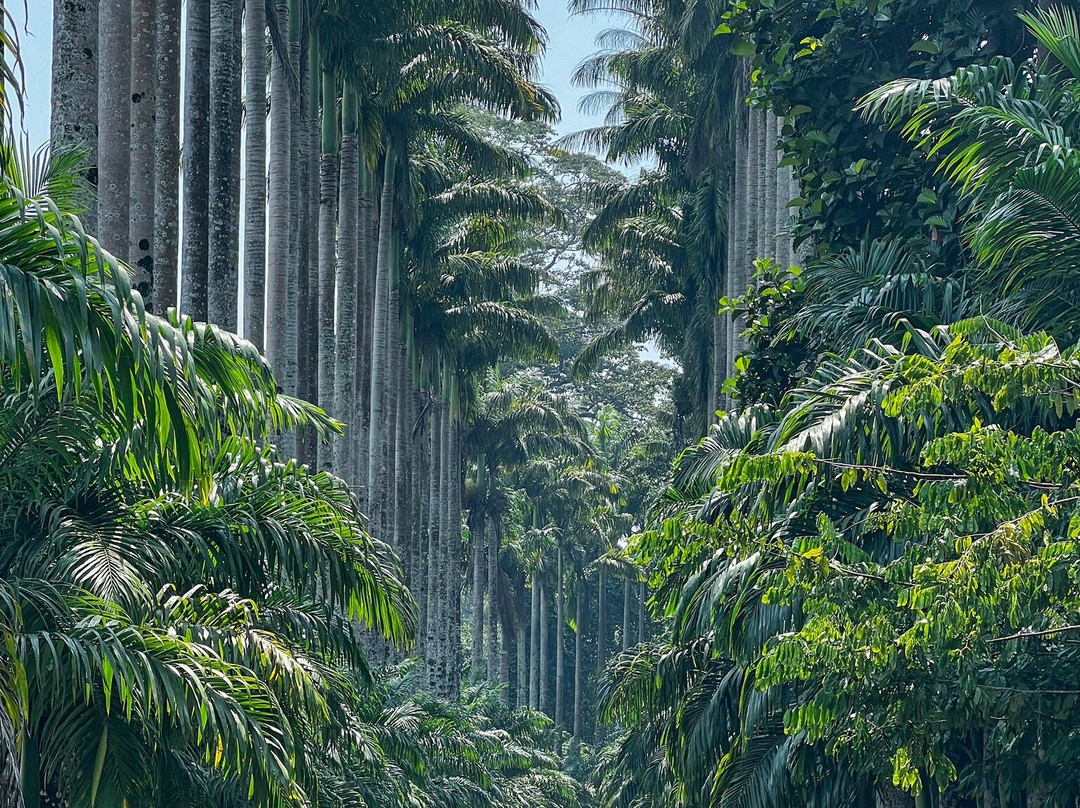 Sri Lanka Round Tour-瓦都瓦必去景点