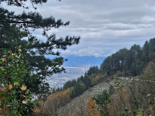 Melluso Day Tours-庞贝必去景点