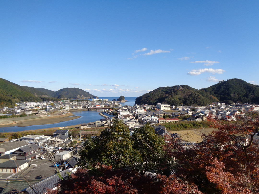 Hiwasa Castle景点图片