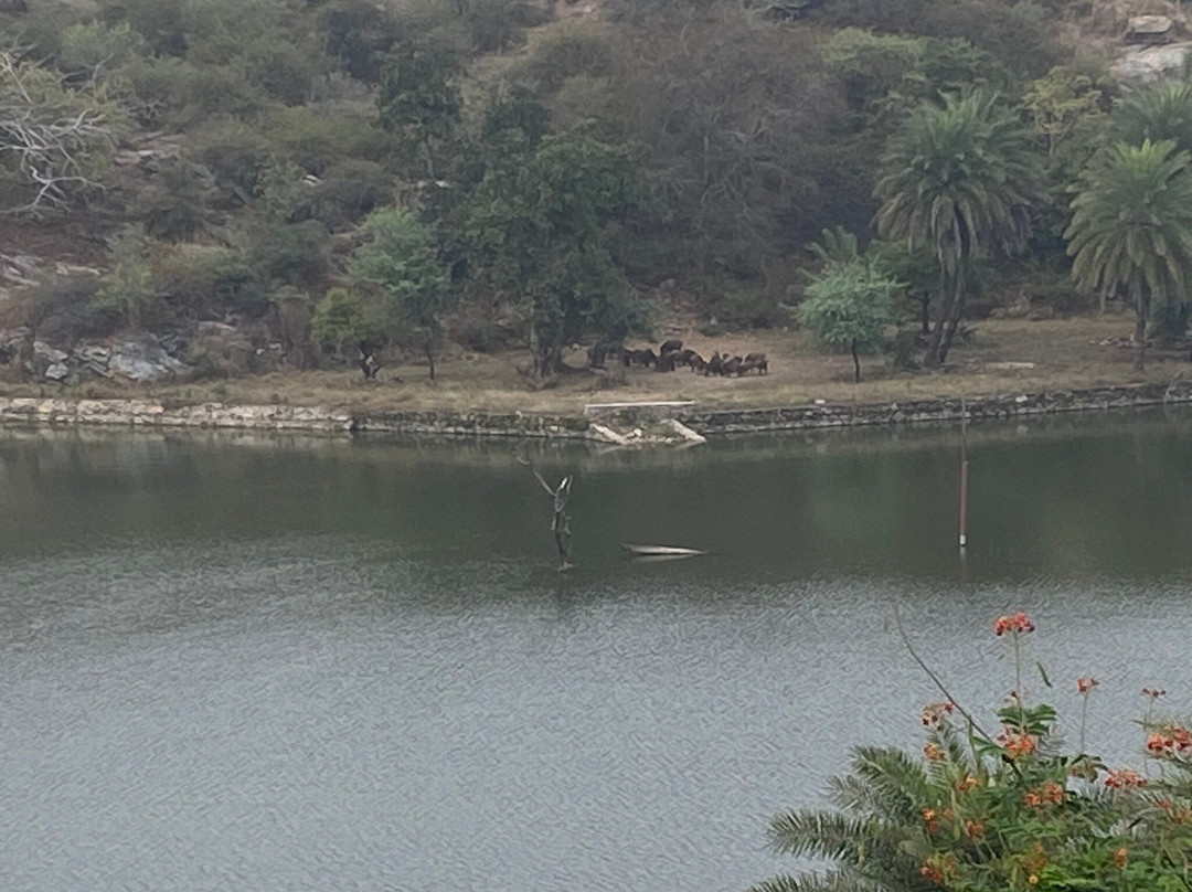 Chunda Shikar Oudi主图