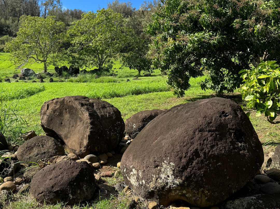 夏威夷岛霍欧马鲁西亚阿虎普哈库疗养酒店主图