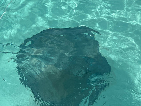 SeaCayman-大开曼岛必去景点