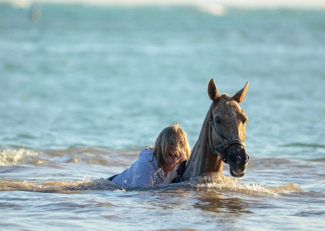 Swim Horse Punta Cana景点图片