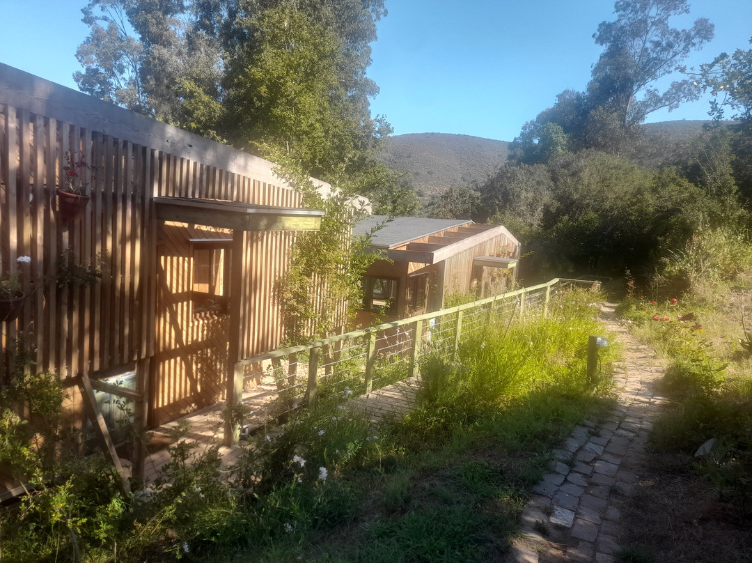 Cabaña Con Tinaja en viña Narbona Wines