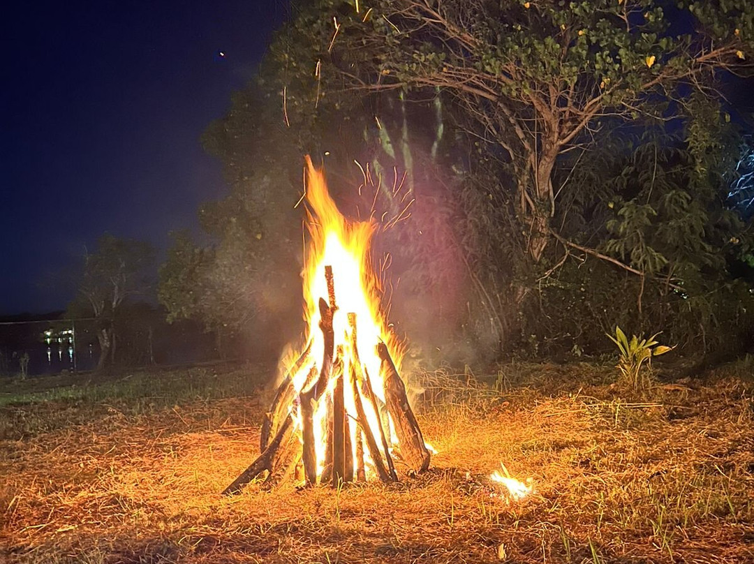 Saffron Lake Yala主图