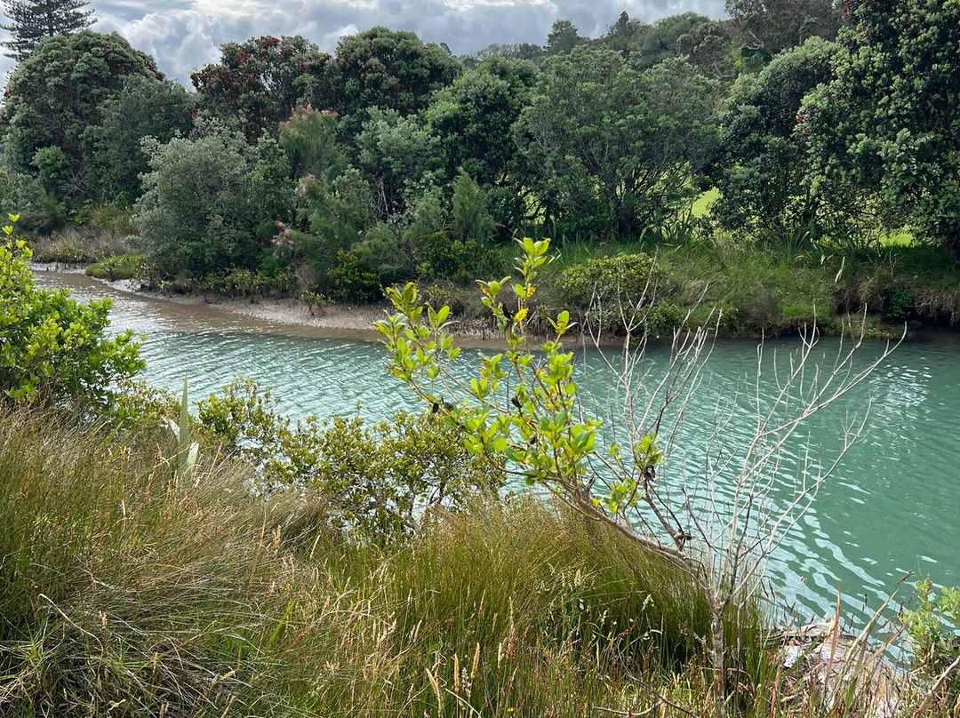 Long Bay Regional Park-Long Bay必去景点