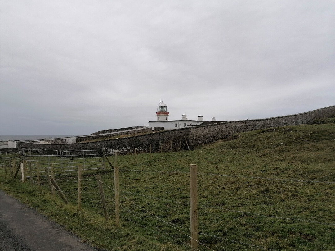 St. John's Point景点图片