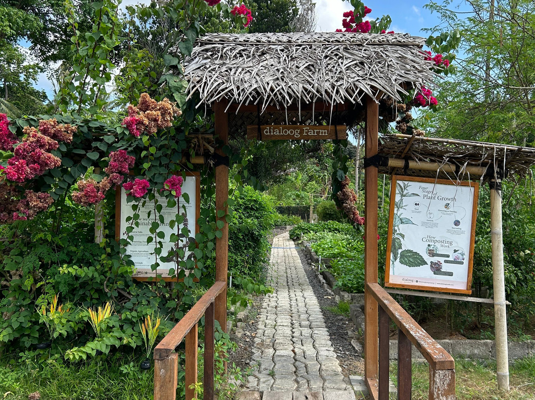 Dialoog Banyuwangi主图