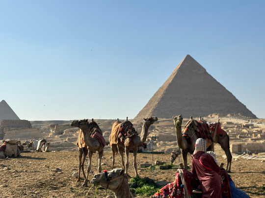 Ashour tour-吉萨必去景点
