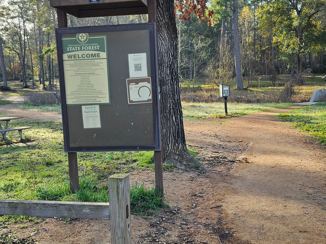 W. G. Jones State Forest-Conroe必去景点