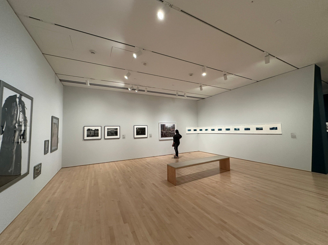 旧金山现代艺术博物馆景点图片