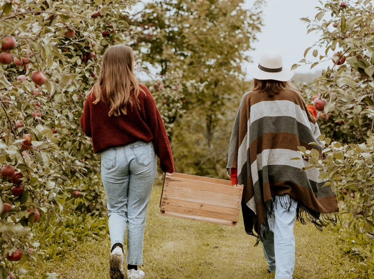 Verger et Cidrerie les Roy de la Pomme-Saint Georges必去景点