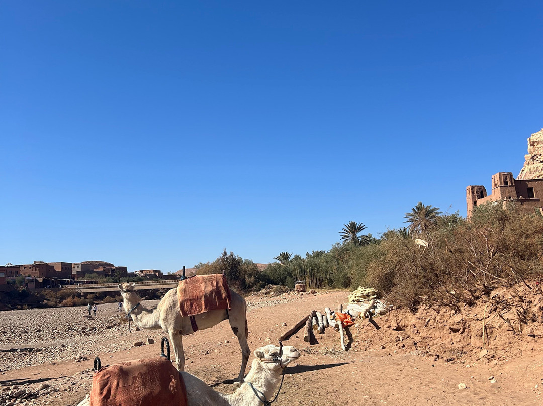 Morocco Atlas Activities-Ourika必去景点