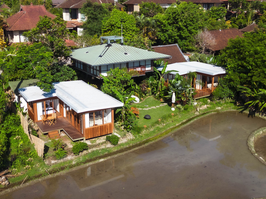 Grün Ubud
