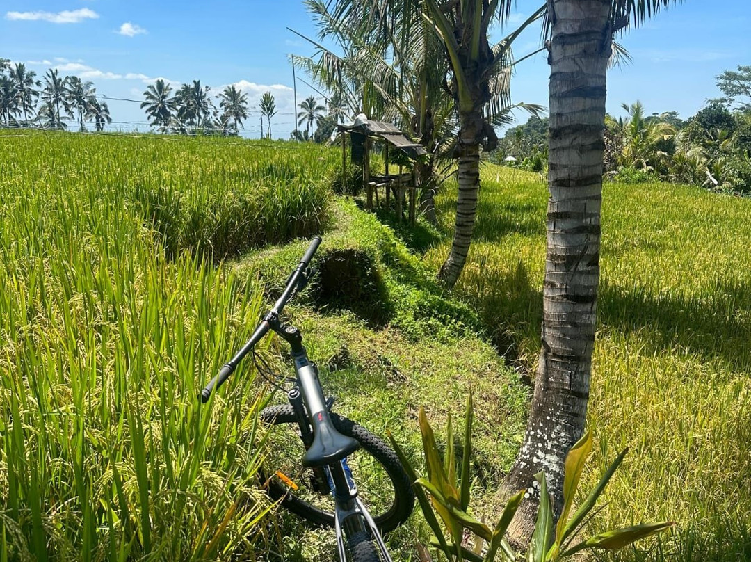 GOAT Bali Cycling & Tours-乌布必去景点