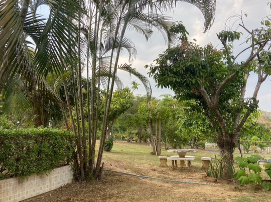 Samarn Bird Camp主图