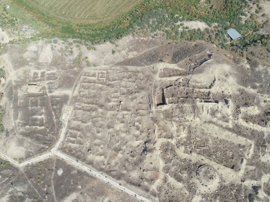 Ancient Dvin Ruins (The medieval capital of Dvin)-Dvin必去景点