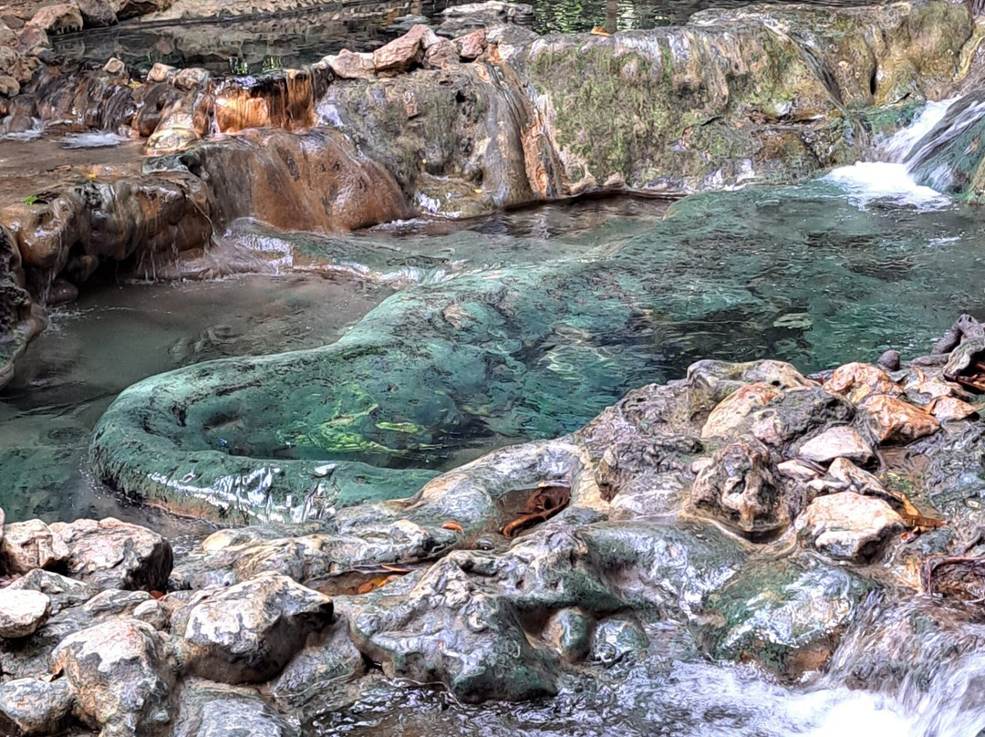Saline Hot Spring Khlong Thom景点图片