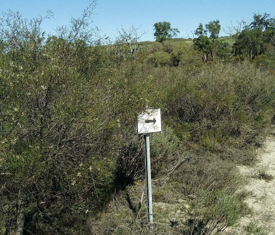 Badgingarra National Park-Badgingarra必去景点