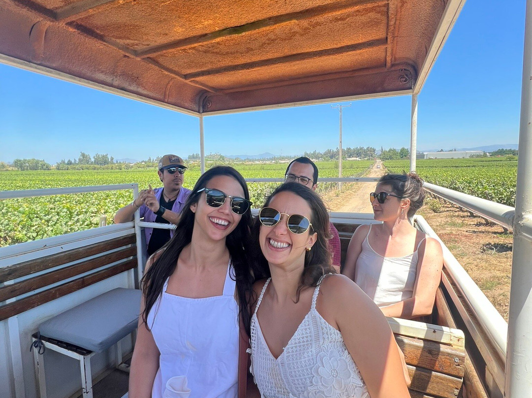 Colchagua Turismo Rural-圣克鲁斯必去景点