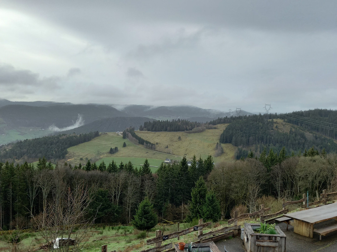 Les O Welches Cote Lac主图