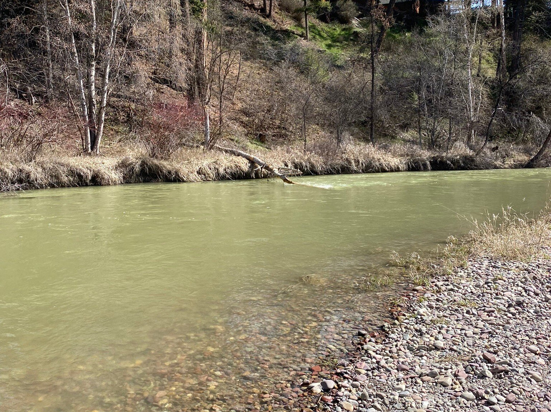 Lawrence Park-卡利斯佩尔必去景点
