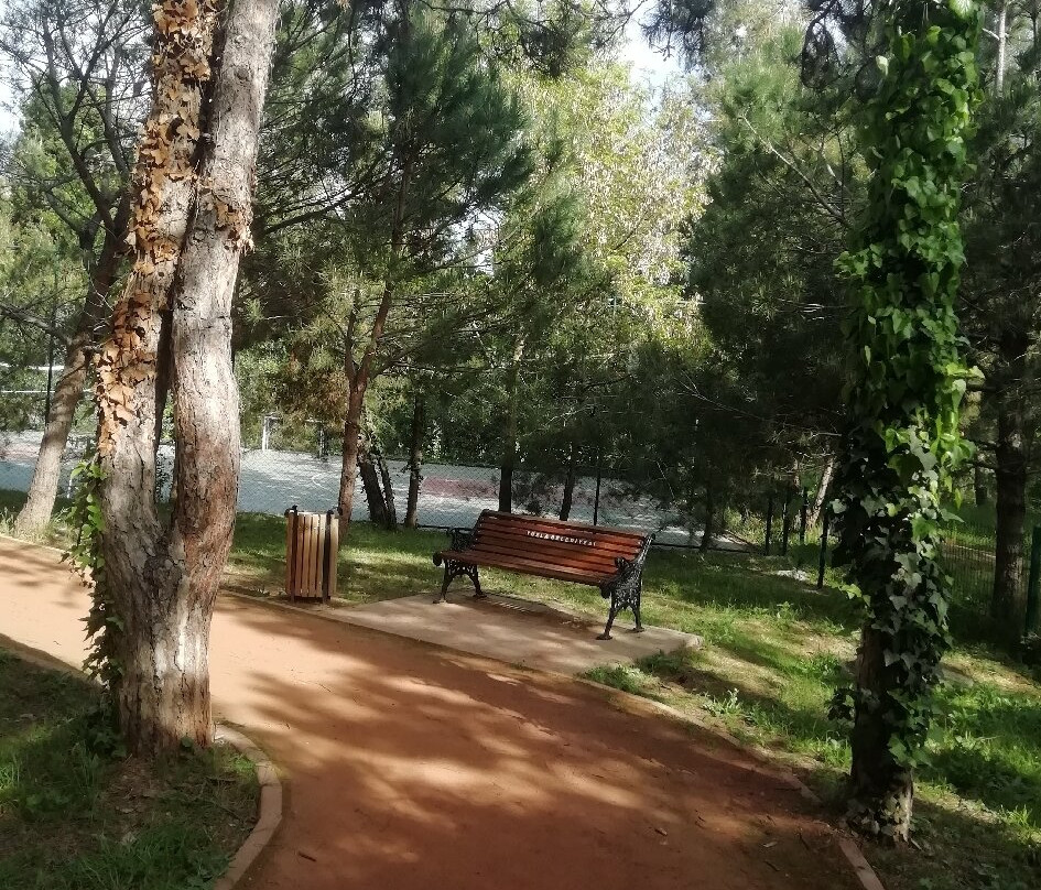 Mercan City Park and Sports Facilities