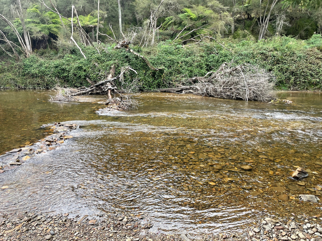 Doctors Creek Reserve-Jamieson必去景点