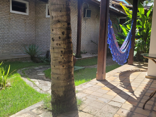 Hotel Casablanca主图