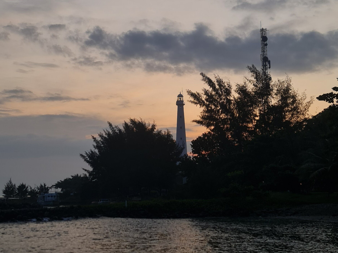 安亚冠毛鸟酒店主图
