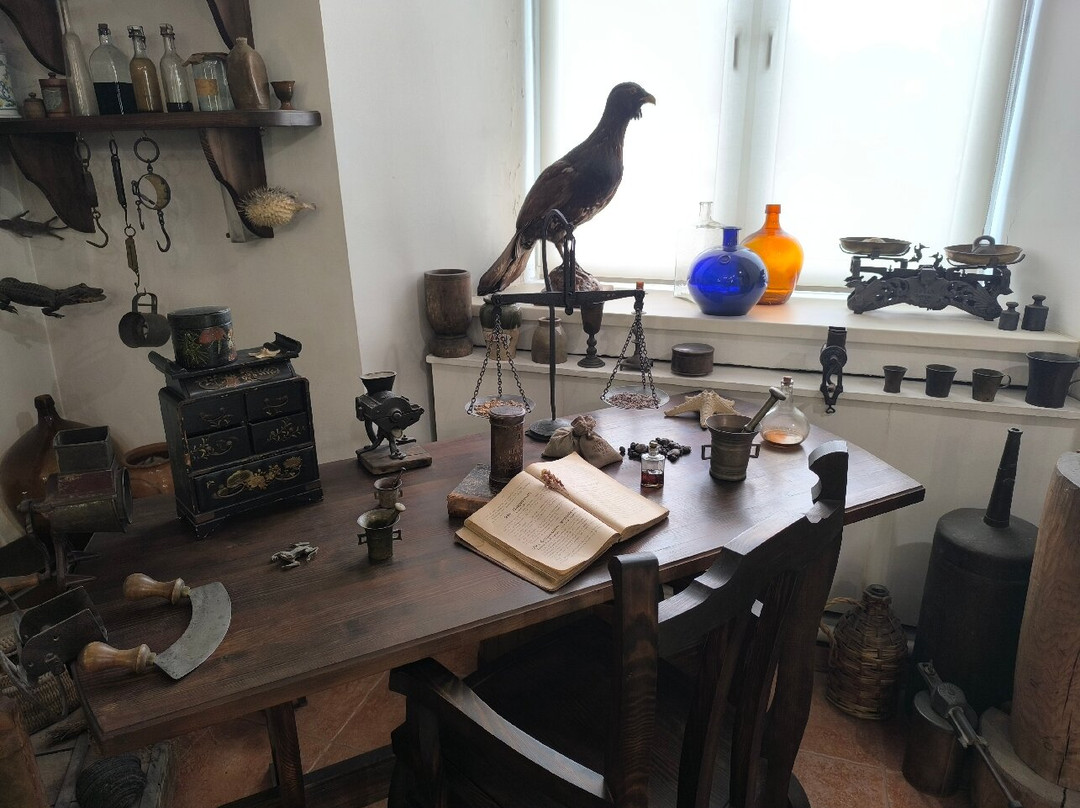 Pharmacy Museum-格罗德诺必去景点