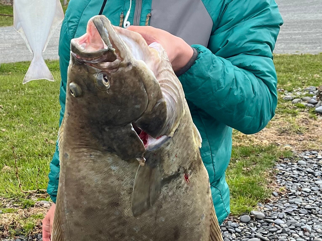 Discover Alaskan Adventures-尼尔奇克必去景点