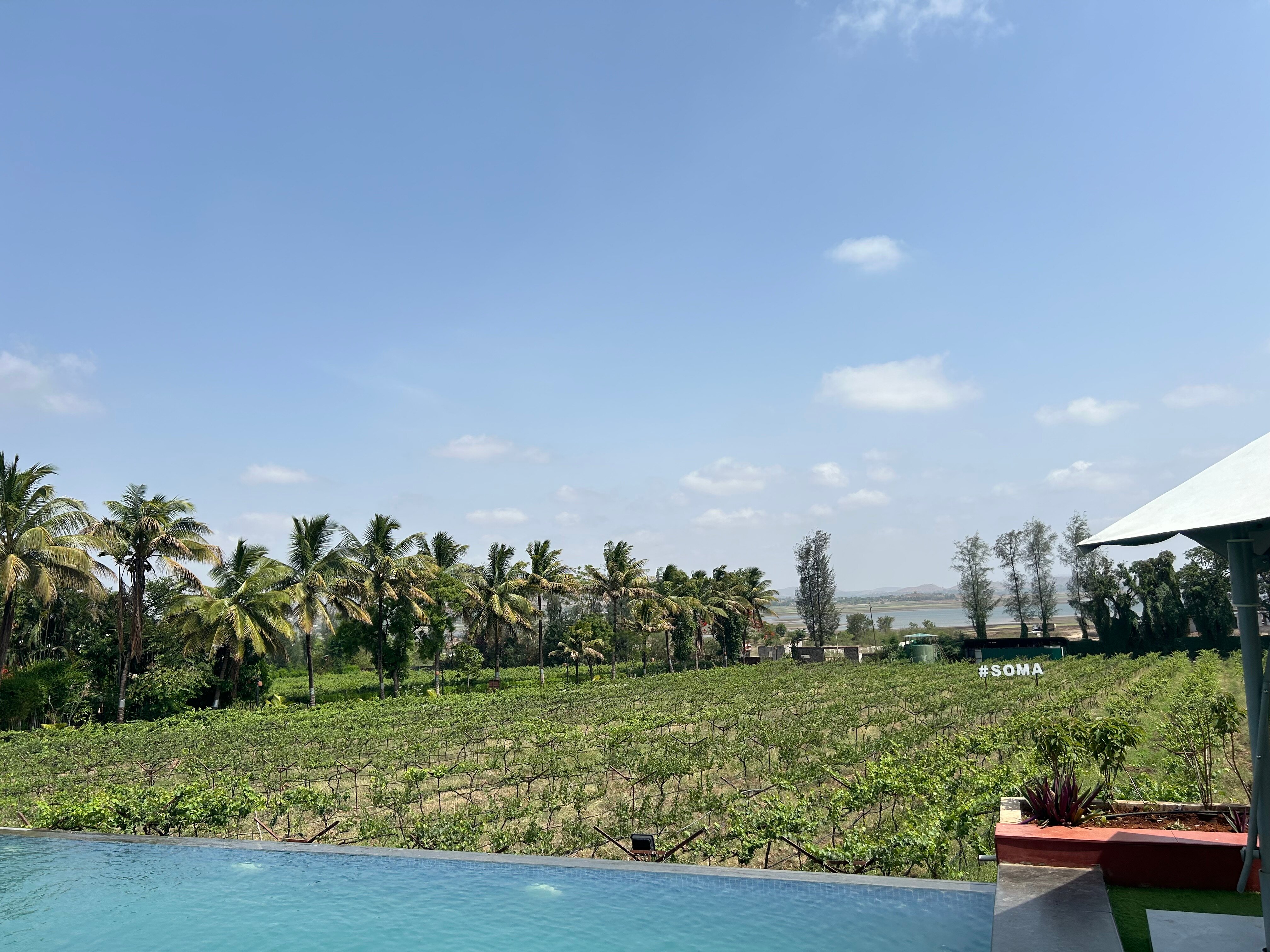 Regenta Resort Soma Vine Village-酒店景观