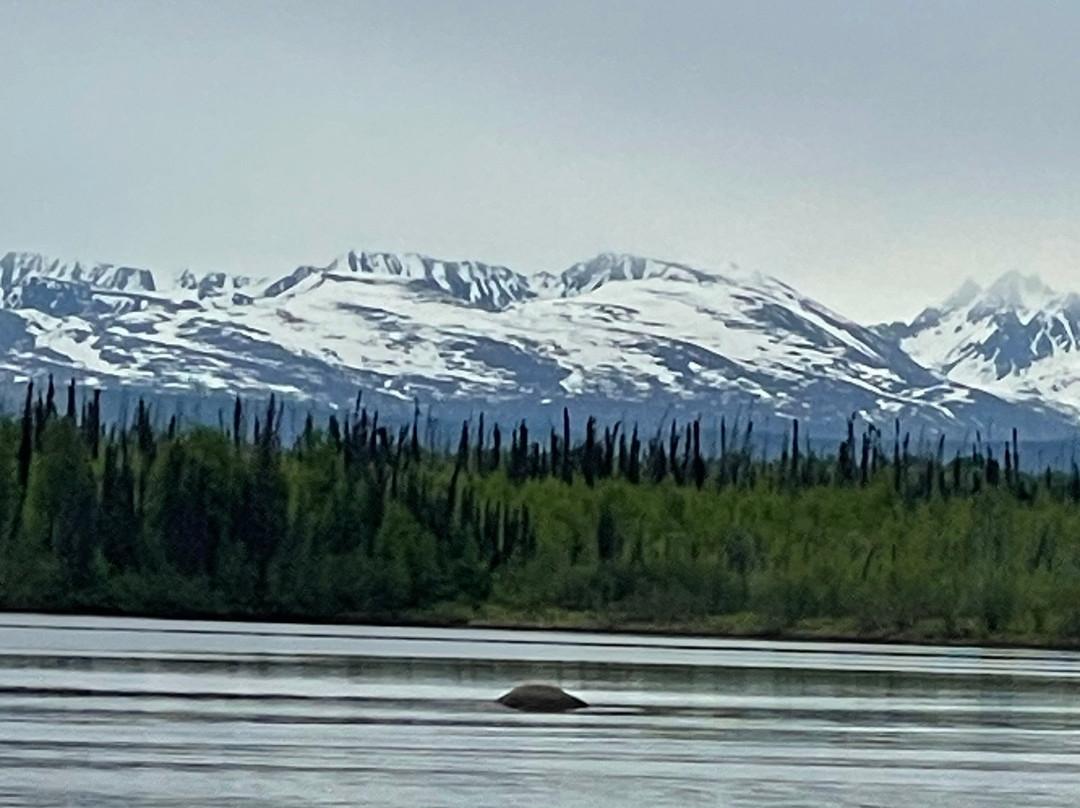 Deshka Landing Charters & Lodge主图