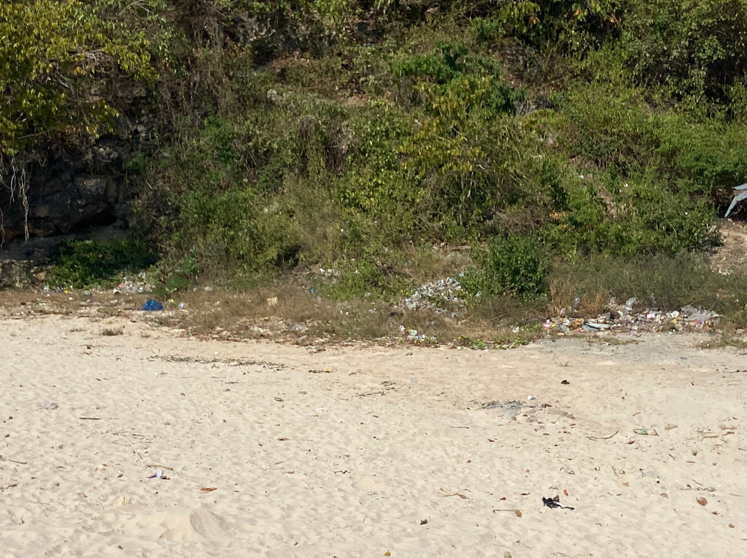 Pink Beach Lombok-罗威那海滩必去景点
