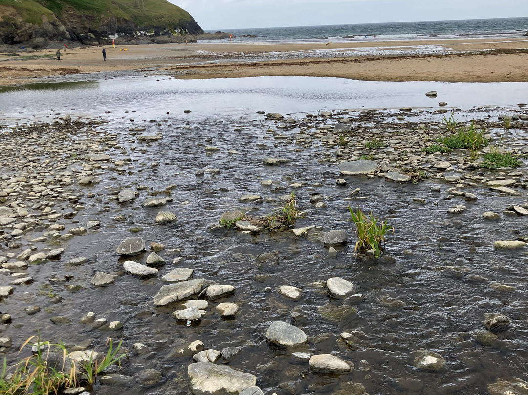 Poldhu Beach景点图片