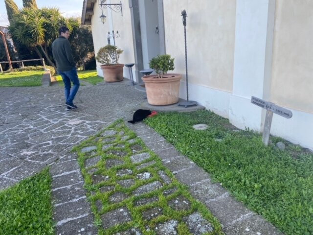 德波卡彼得拉迪波南特住宅酒店主图
