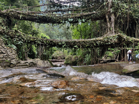 SafarPanda-古瓦哈提必去景点
