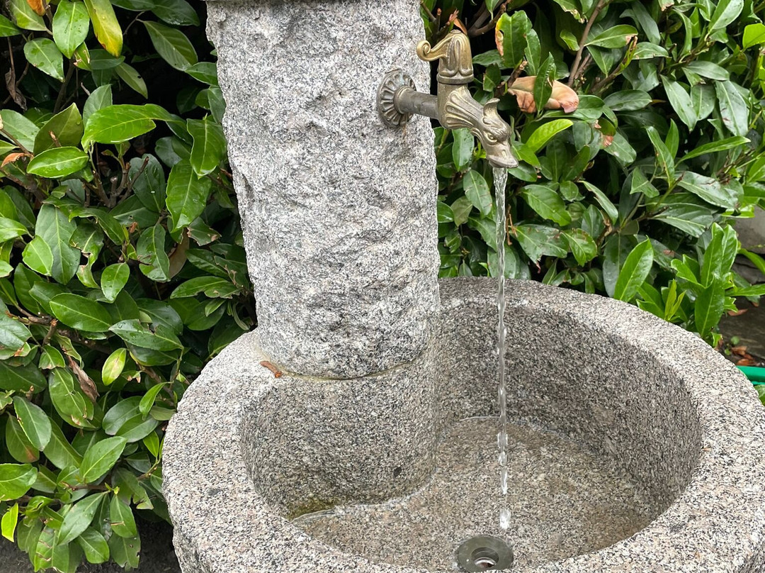 库马约尔布顿酒店主图