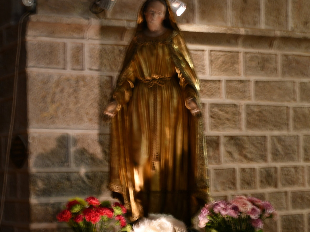 Cathedrale Notre Dame de la Platea d'Antibes-安提贝必去景点