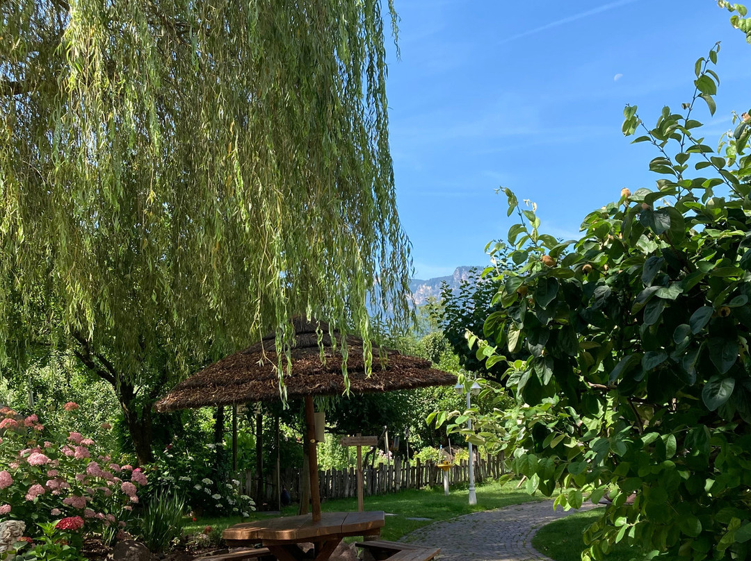 Gartenhotel Moser主图